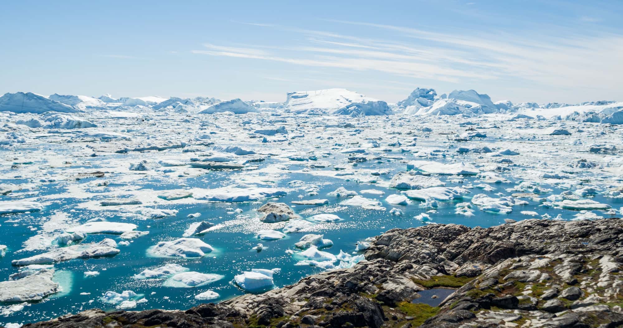 Explore and experience the harsh yet fragile Arctic landscape.