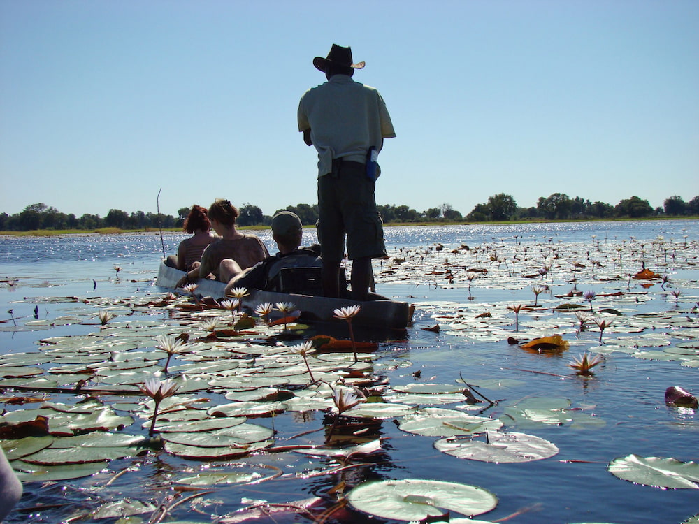 Mokoro ride experience in Okavango Delta, Botswana.