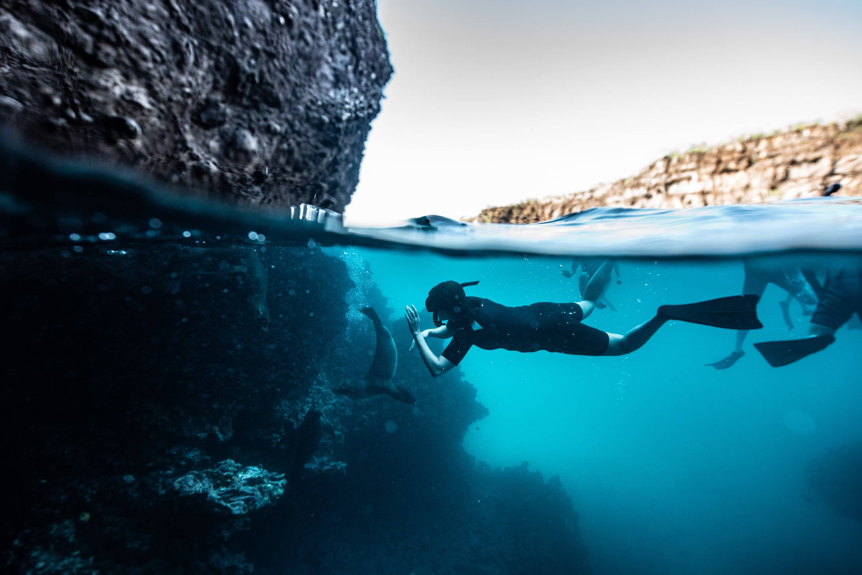 Snorkeller swimming beside a sea lion along a volcanic rock wall, with the waterline and cliffs visible above, Galapagos Islands, Ecuador.