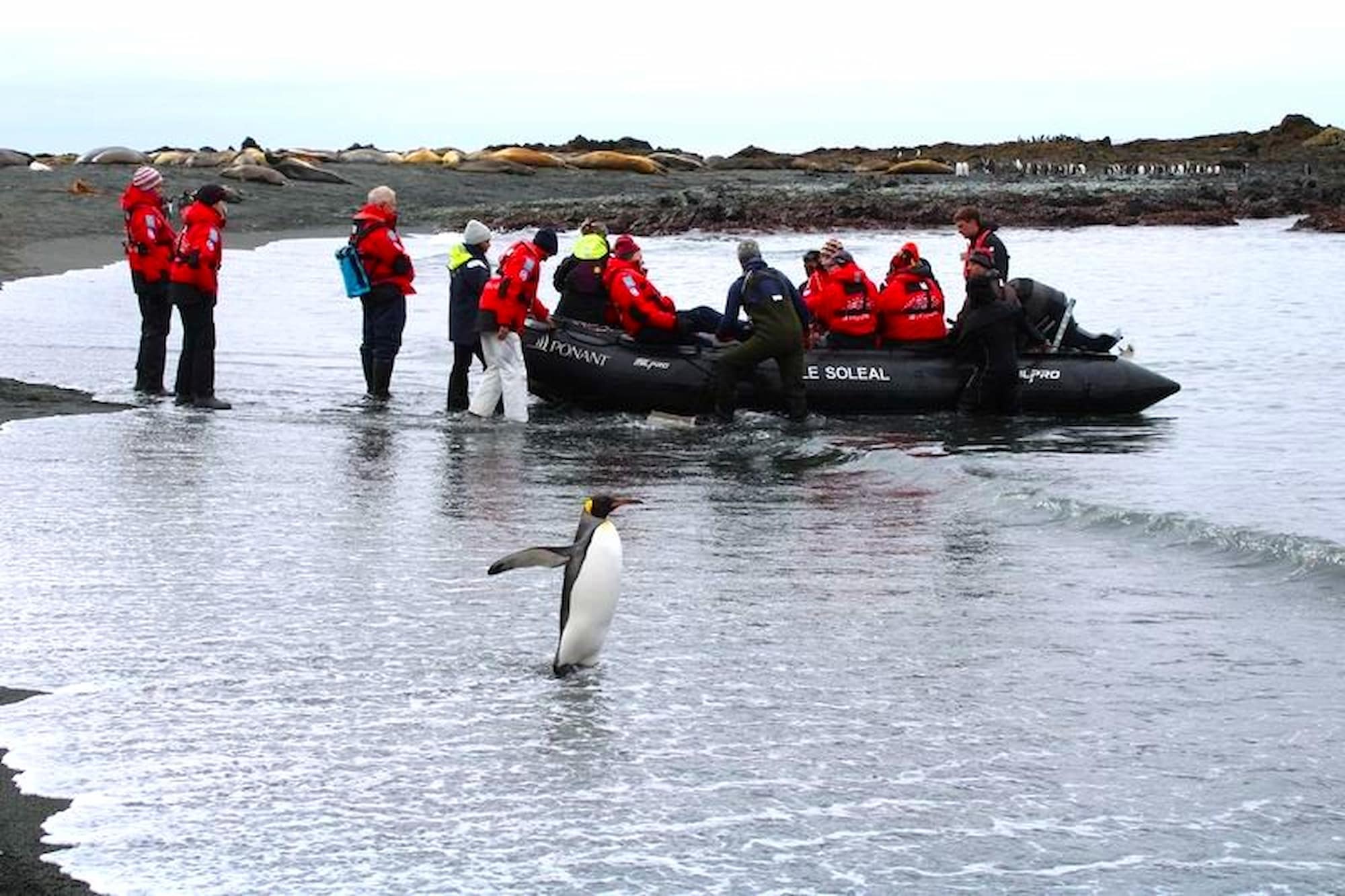 Zodiac cruising and shore landing activity.