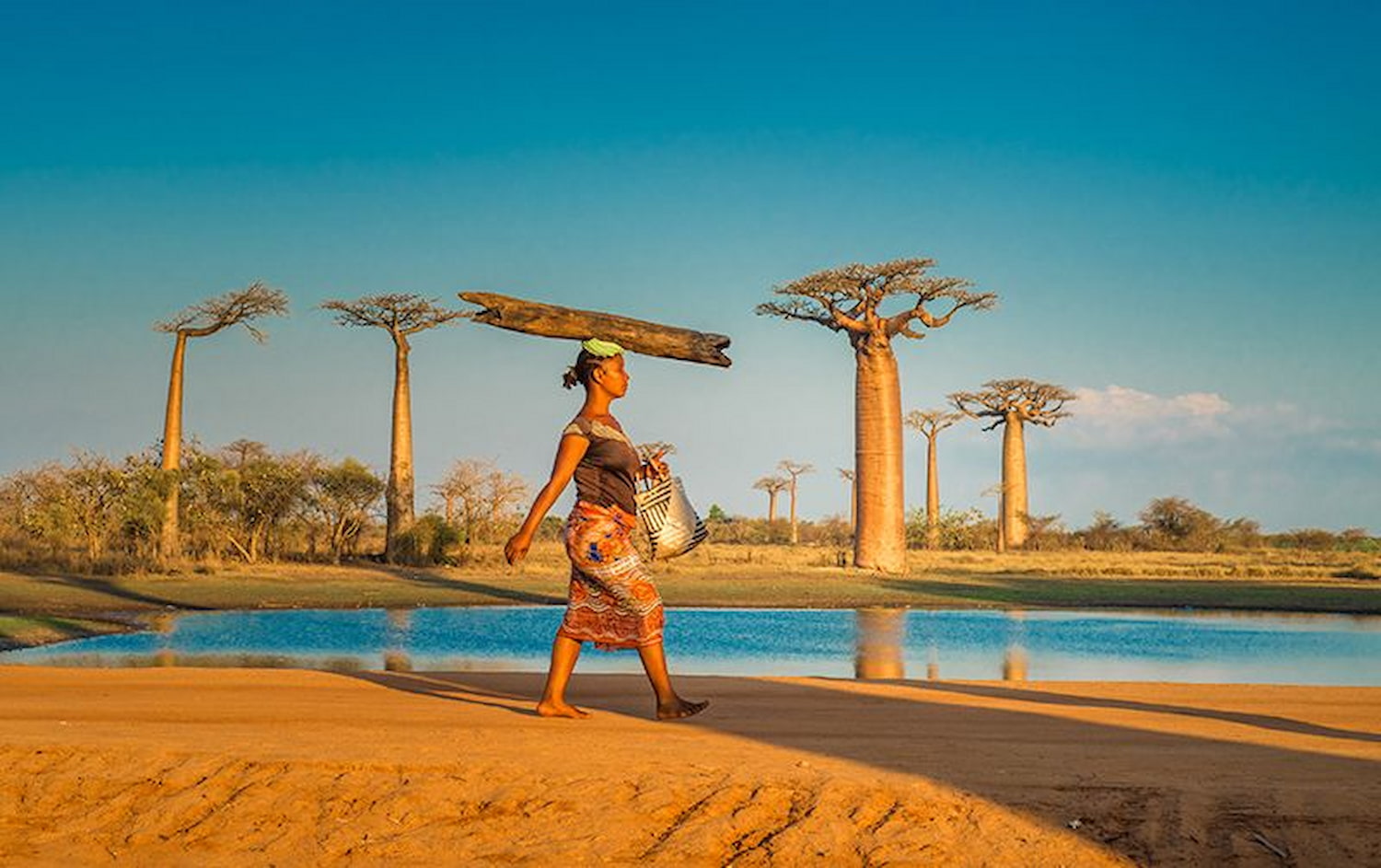 A woman walking through Madagascar’s iconic baobabs.