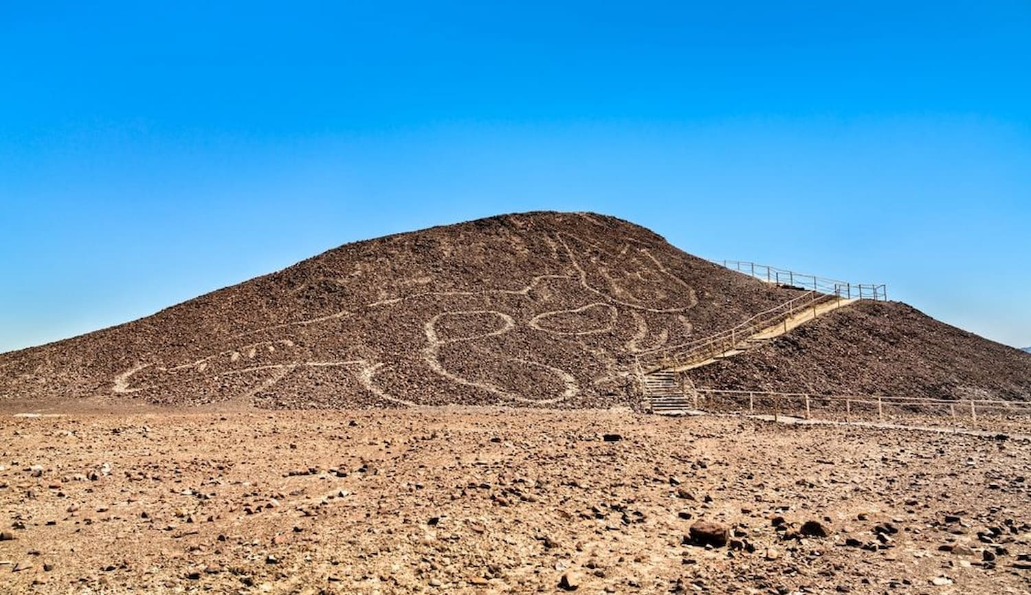 The Cat - Nazca lines