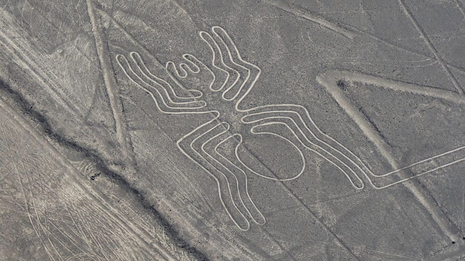 The Spider, Nazca lines