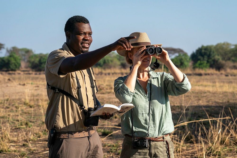 With an expert guide, every walking safari becomes unforgettable.