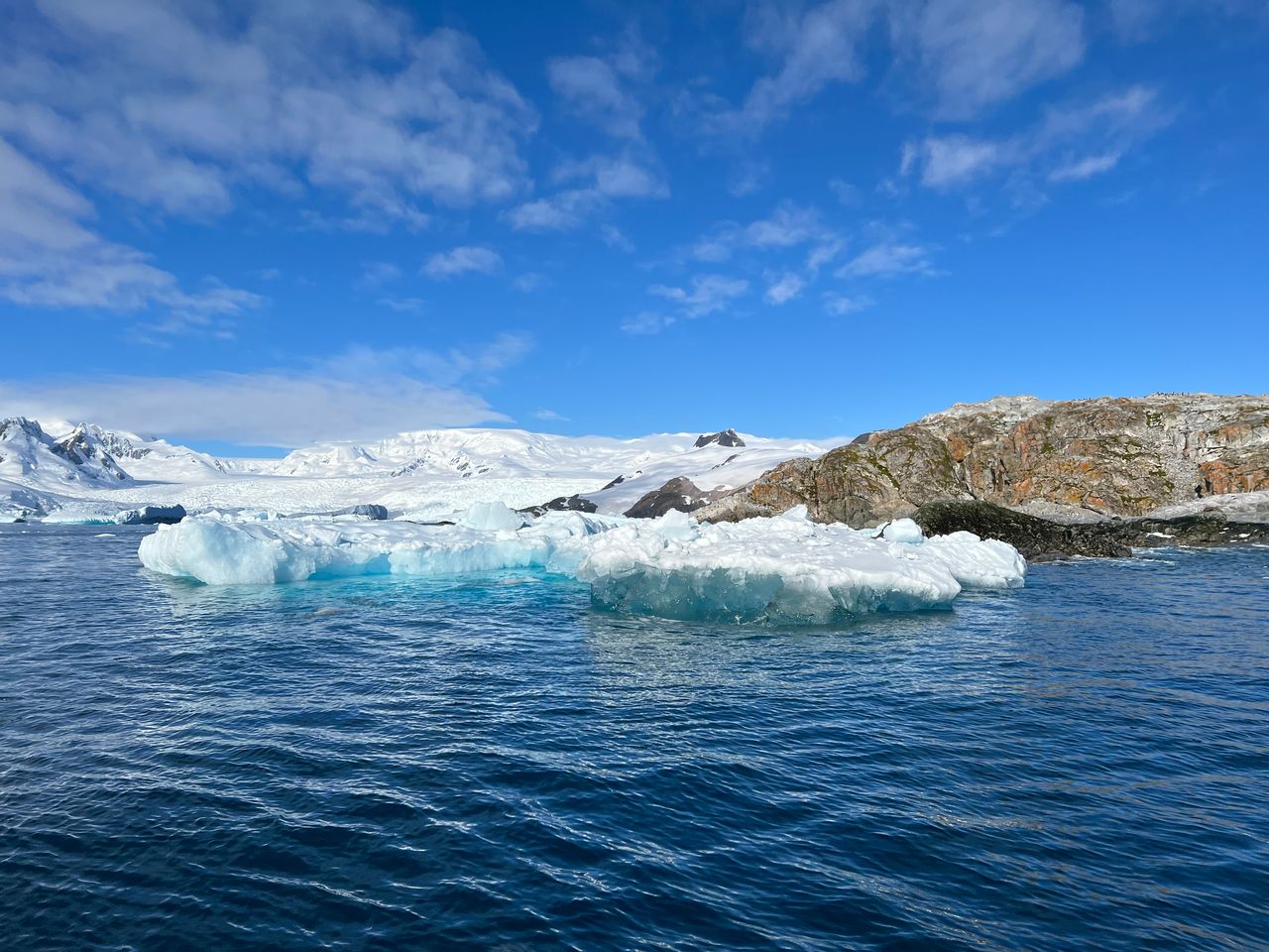 kayaking is a front row seat for glaciers and wildlife.