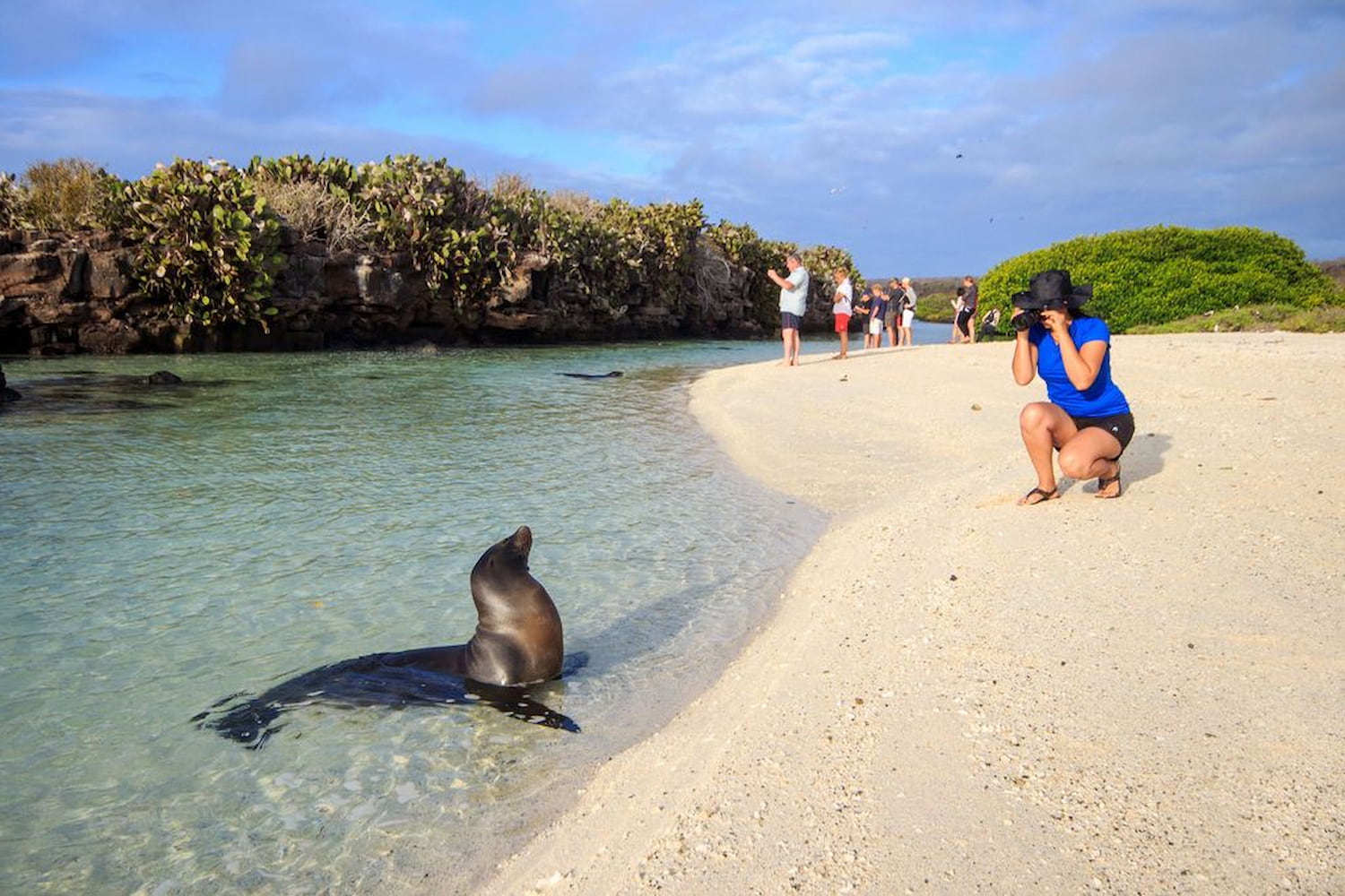 A Galápagos sea lion relaxing on a pristine white sand beach, photographed by guests.