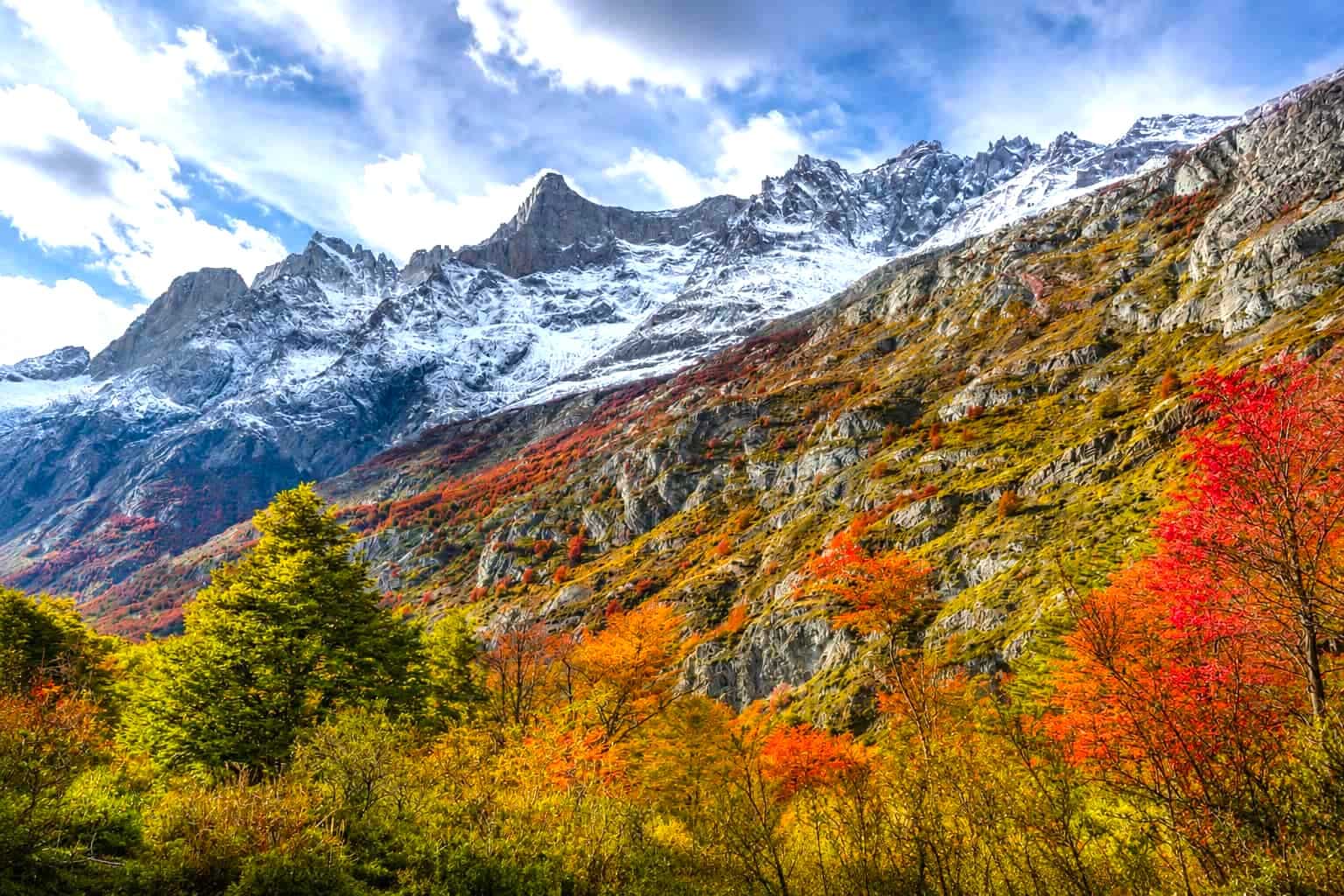 Autumn foliage and granite peaks in Torres del Paine National Park, Patagonia, Chile