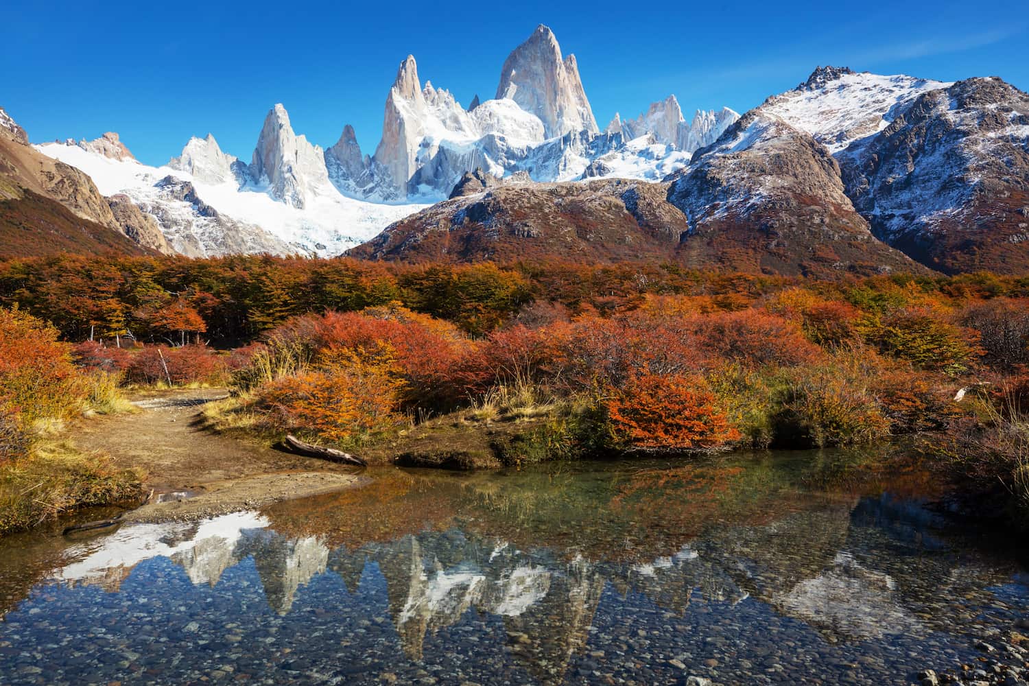 Autumn foliage and granite peaks in Torres del Paine National Park