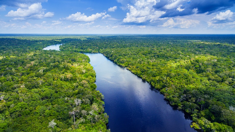 Aerial view of the Amazon River through dense rainforest, South America.