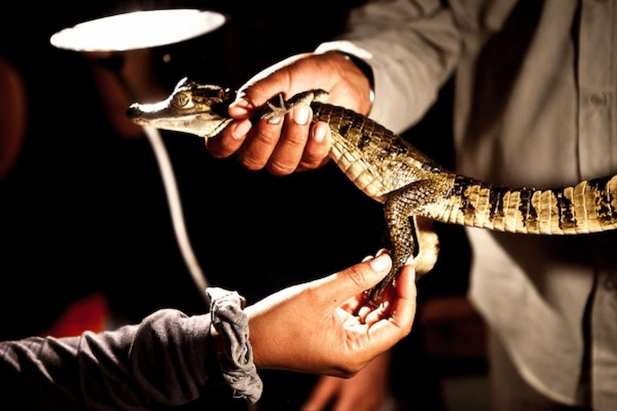 Amazon rescue centre