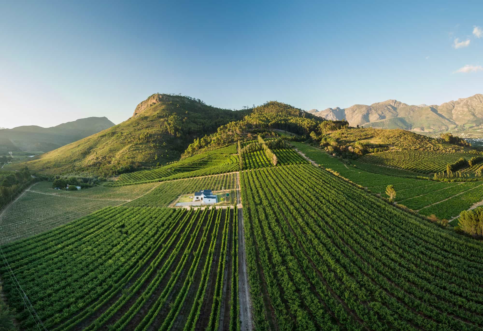 South Africa's oldest and most famous wine route